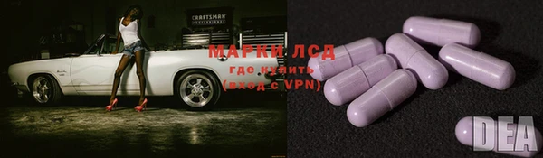 ГАЛЛЮЦИНОГЕННЫЕ ГРИБЫ Данков
