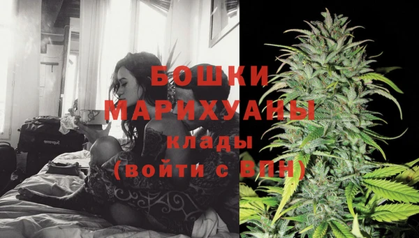 ГАЛЛЮЦИНОГЕННЫЕ ГРИБЫ Данков