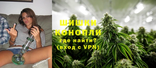 мет Бородино