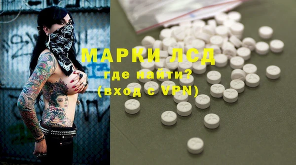 ГАЛЛЮЦИНОГЕННЫЕ ГРИБЫ Данков